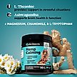Show in main carousel: Pet Honesty Calming Hemp Chicken Flavored Calming & Anxiety Chews Supplement for Dogs, 90 count slide 3 of 13