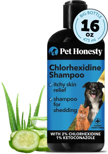 PetHonesty Chlorhexidine Antibacterial Cleansing & Odor Remover Dog Shampoo, 16-oz bottle