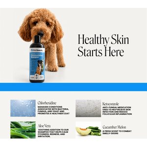 Pet Honesty Chlorhexidine Antibacterial Itchy Skin, Allergy Relief & Sensitive Skin Dog Shampoo, 16-fl oz bottle