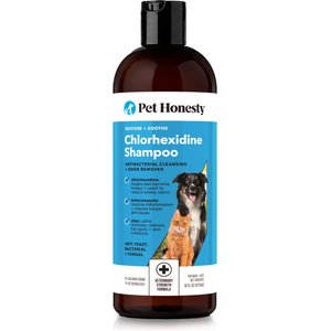 Pet Honesty Chlorhexidine Antibacterial Itchy Skin, Allergy Relief & Sensitive Skin Dog Shampoo, 16-fl oz bottle