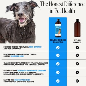 Pet Honesty Chlorhexidine Antibacterial Itchy Skin, Allergy Relief & Sensitive Skin Dog Shampoo, 16-fl oz bottle
