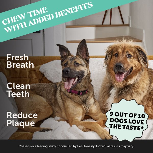 Pet Honesty Dental Health Fresh Sticks Mint Plaque Off Dental & Teeth Cleaning Dog Dental Chews