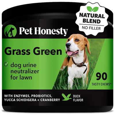 Show full view: Pet Honesty Digestive Probiotic Snacks Health Soft Chews Dog Supplement, 90 count + Pet Honesty GrassGreen Snacks Cranberry Extract with Probiotics Soft Chews Dog Supplement, 90 count slide 2 of 9