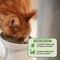 Show in main carousel: Pet Honesty Digestive Probiotics Chicken & Fish Flavored Powder for Cats, 4.2-oz Jar slide 6 of 11