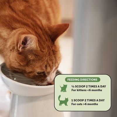 Show full view: Pet Honesty Digestive Probiotics Chicken & Fish Flavored Powder for Cats, 4.2-oz Jar slide 6 of 11