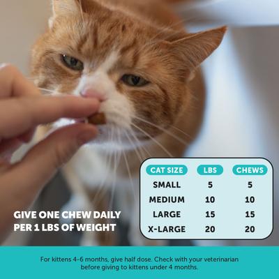Show full view: Pet Honesty Dual Texture Chicken Flavored Calming Chews for Cats, 3.7-oz pouch slide 7 of 13