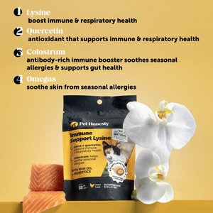 Pet Honesty Dual Texture Chicken Flavored Immune Support Lysine Chews for Cats, 3.7-oz pouch
