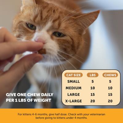 Show full view: Pet Honesty Dual Texture Chicken Flavored Immune Support Lysine Chews for Cats, 3.7-oz pouch slide 6 of 12