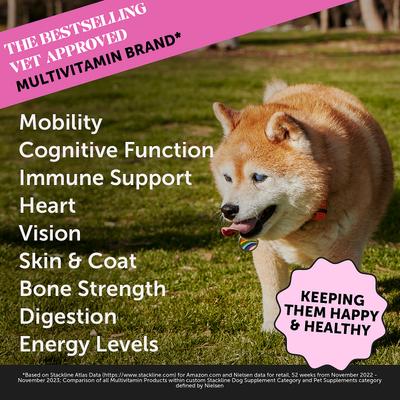 Show full view: Pet Honesty Duck Flavored Soft Chews Multivitamin for Senior Dogs + Turmeric Joint Health Pumpkin & Coconut Flavored Soft Chews Joint Supplement slide 3 of 9