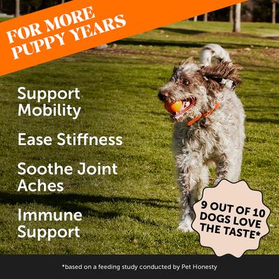 Show full view: Pet Honesty Duck Flavored Soft Chews Multivitamin for Senior Dogs + Turmeric Joint Health Pumpkin & Coconut Flavored Soft Chews Joint Supplement slide 7 of 9