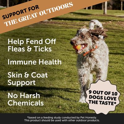 Show full view: Pet Honesty Flea & Tick Defense Bacon Soft Chew Flea & Tick Repellent Supplement for Dogs, 90 count slide 2 of 11