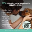 Show in main carousel: Pet Honesty Fresh Breath Freshener Mint Flavored Dental Powder for Dogs, 5.29-oz jar slide 2 of 11