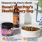 Show in main carousel: Pet Honesty Glucosamine + Salmon Oil Turkey Flavored Joint Support Liquid Supplement for Dogs, 12-fl oz bottle slide 8 of 11