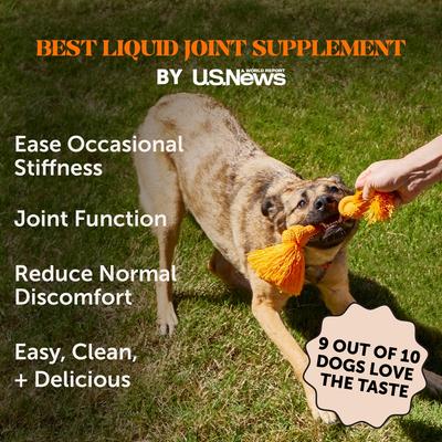 Show full view: Pet Honesty Glucosamine + Salmon Oil Turkey Flavored Joint Support Liquid Supplement for Dogs, 12-fl oz bottle slide 3 of 11
