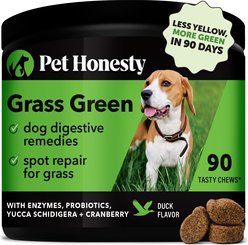 Pet Honesty Grass Green Duck Flavor Burn Spot Urine Neutralizer Soft Chews Digestive Supplement for Dogs, 90 count