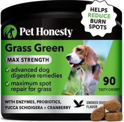 Pet Honesty Grass Green Max Strength Duck Flavored Soft Chews Urine Neutralizer for Lawn Burn Spots & Digestive Support for Dogs, 90 Count