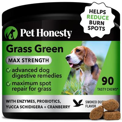 Show full view: Pet Honesty Grass Green Max Strength Duck Flavored Soft Chews Urine Neutralizer for Lawn Burn Spots & Digestive Support for Dogs, 90 Count slide 1 of 11