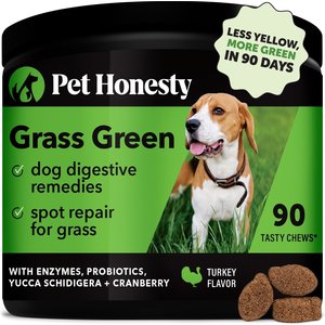 Pet Honesty Grass Green Turkey Flavor Burn Spot Urine Neutralizer Soft Chews Digestive Supplement for Dogs, 90 count