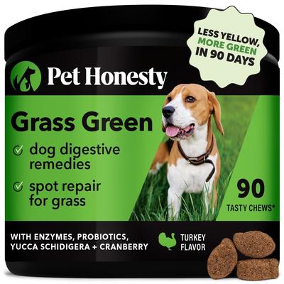 Show full view: Pet Honesty Grass Green Turkey Flavor Burn Spot Urine Neutralizer Soft Chews Digestive Supplement for Dogs, 90 count slide 1 of 13