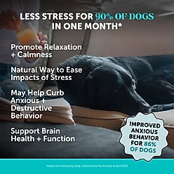Pet Honesty Hemp Calming Max-Strength Duck Flavored Melatonin, Ashwaganda & L-Theanine Chews Calming & Anxiety Supplement for Dogs, 90-count slide 2 of 9