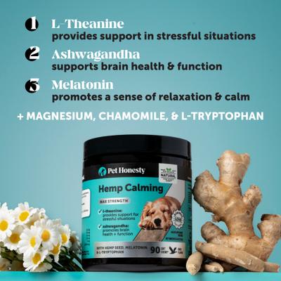 Show full view: Pet Honesty Hemp Calming Max-Strength Duck Flavored Melatonin, Ashwaganda & L-Theanine Chews Calming & Anxiety Supplement for Dogs, 90-count slide 4 of 13