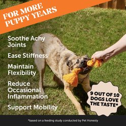 Pet Honesty Hemp Hip + Joint Health Bacon Soft Chews Glucosamine, Chondroitin Supplement for Dogs, 90 count slide 2 of 8