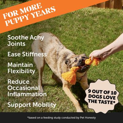 Show full view: Pet Honesty Hemp Hip + Joint Health Bacon Soft Chews Glucosamine, Chondroitin Supplement for Dogs, 90 count slide 3 of 12