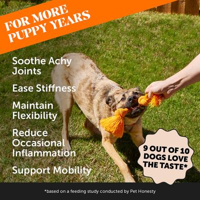 Show full view: Pet Honesty Hemp Hip + Joint Health Duck Soft Chews Glucosamine, Chondroitin Supplement for Dogs, 180 count slide 3 of 13