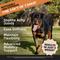 Show in main carousel: Pet Honesty Hip + Joint Health Max-Strength Hickory Bacon Flavor Glucosamine Supplement for Dogs, 90 count slide 3 of 12