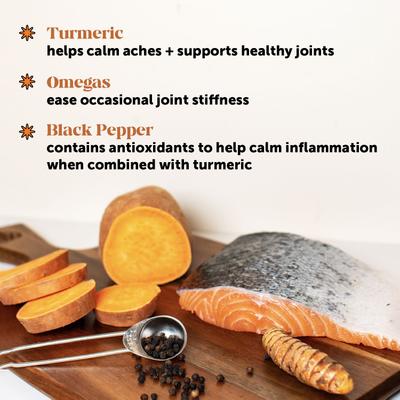 Show full view: Pet Honesty Hip + Joint Health Pumpkin & Coconut Soft Chew Glucosamine Chondroitin Supplement for Dogs, 90 count slide 8 of 12