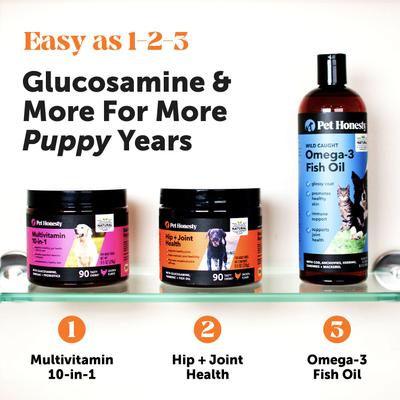 Show full view: Pet Honesty Hip & Joint Supplement Chicken Flavored Glucosamine & Chondroitin with MSM, Turmeric Hip & Joint Chews for Dogs, 180 count slide 8 of 13