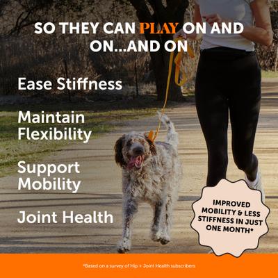 Show full view: Pet Honesty Hip & Joint Supplement Chicken Flavored Glucosamine & Chondroitin with MSM, Turmeric Hip & Joint Chews for Dogs, 180 count slide 3 of 13