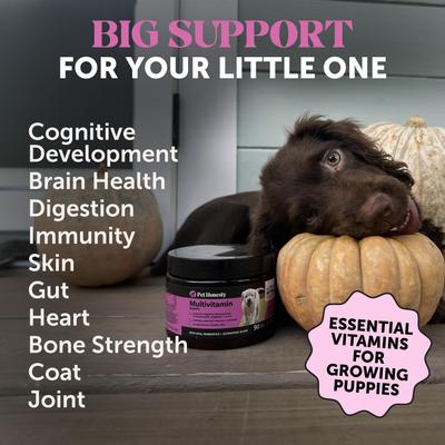 Show full view: Pet Honesty Multivitamin Puppy Vitamins, Glucosamine, Omega-3 Vitamins for Dogs, 90 count slide 3 of 11