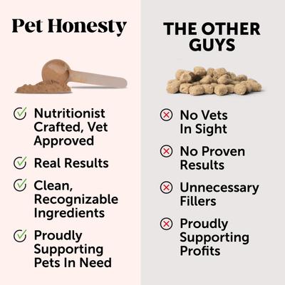 Show full view: Pet Honesty Probiotics GI Pumpkin Flavored Digestive Powder for Dogs, 90 scoops slide 3 of 11