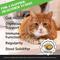 Show in main carousel: Pet Honesty Probiotics Gut + Immune Health Chicken Flavored Digestive Chews for Cats, 3.7-oz pouch slide 3 of 11