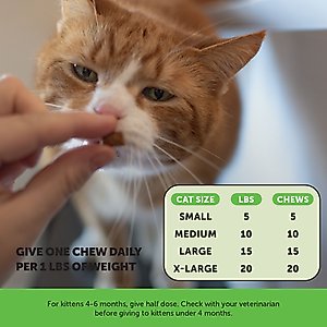 Pet Honesty Probiotics Gut + Immune Health Chicken Flavored Digestive Chews for Cats, 3.7-oz pouch