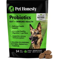 Pet Honesty Probiotics Gut + Immune Health Pumpkin Flavored Soft Chews, Digestive Probiotic Supplement for Dogs 14 count