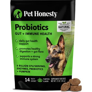 Pet Honesty Probiotics Gut + Immune Health Pumpkin Flavored Soft Chews, Digestive Probiotic Supplement for Dogs 14 count
