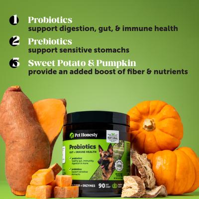 Show full view: Pet Honesty Probiotics Gut + Immune Health Pumpkin Flavored Soft Chews, Digestive Probiotic Supplement for Dogs, 90 count slide 4 of 12