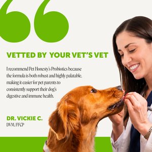 Pet Honesty Probiotics Gut + Immune Health with Prebiotics & Enzymes Duck Flavored Soft Chews Digestive Supplement for Dogs, 90 count