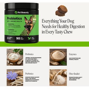 Pet Honesty Probiotics Gut + Immune Health with Prebiotics & Enzymes Duck Flavored Soft Chews Digestive Supplement for Dogs, 90 count