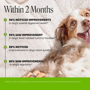 Pet Honesty Probiotics Gut + Immune Health with Prebiotics & Enzymes Duck Flavored Soft Chews Digestive Supplement for Dogs, 90 count