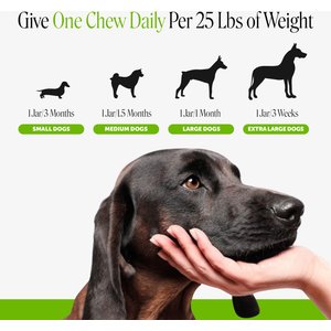 Pet Honesty Probiotics Gut + Immune Health with Prebiotics & Enzymes Duck Flavored Soft Chews Digestive Supplement for Dogs, 90 count