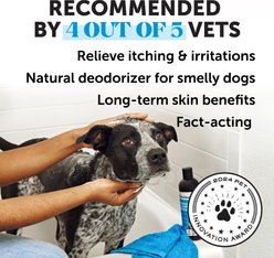 Pet Honesty Restore + Soothe 2-in-1 Coconut Scented Dog & Cat Shampoo + Conditioner, 16-fl oz bottle slide 2 of 9