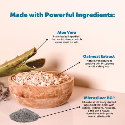 Show full view: Pet Honesty Restore + Soothe 2-in-1 Coconut Scented Dog & Cat Shampoo + Conditioner, 16-fl oz bottle slide 4 of 12