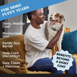 Pet Honesty Salmon Oil Turkey Flavored Skin & Coat Health Liquid Supplement, Allergy Relief for Dogs, 12-fl oz bottle slide 2 of 8