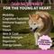 Show in main carousel: Pet Honesty Senior Multivitamin Duck Flavored Soft Chews Digestive Support for Senior Dogs, 90 count slide 3 of 12