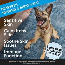 Pet Honesty Skin Health Omega Salmon Flavor Soft Chews Skin & Coat, Fish Oil Supplement for Dogs, 90 count slide 2 of 9