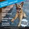 Show in main carousel: Pet Honesty Skin Health Omega Salmon Flavor Soft Chews Skin & Coat, Fish Oil Supplement for Dogs, 90 count slide 3 of 13
