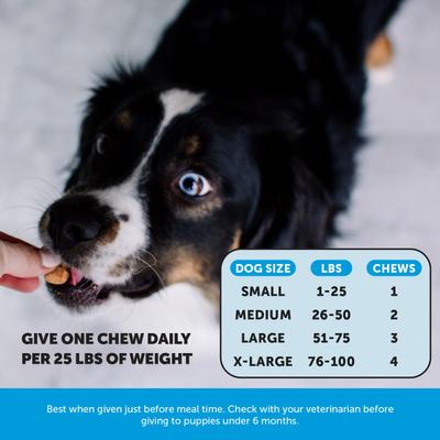 Show full view: Pet Honesty Skin Health Omega Salmon Flavor Soft Chews Skin & Coat, Fish Oil Supplement for Dogs, 90 count slide 6 of 13